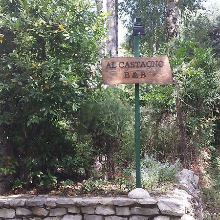Al Castagno Bed & Breakfast Вико Екуензе Екстериор снимка