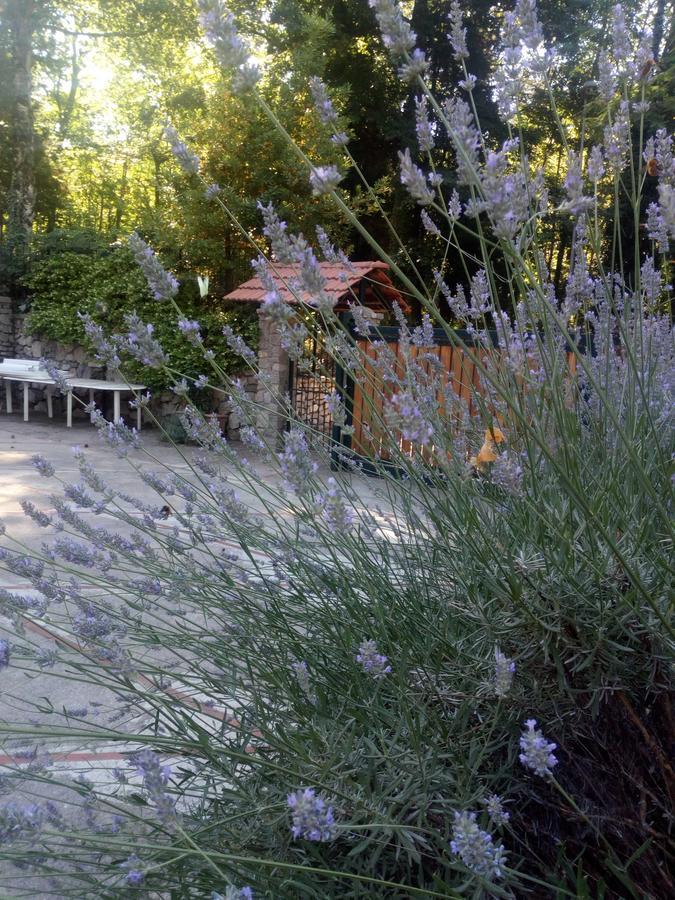 Al Castagno Bed & Breakfast Вико Екуензе Екстериор снимка