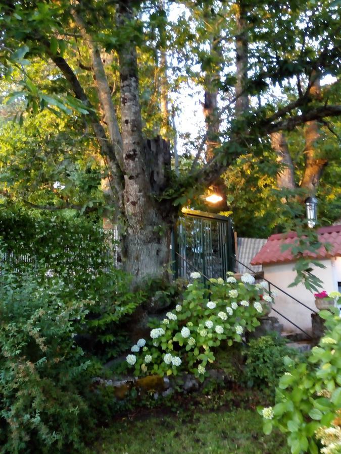 Al Castagno Bed & Breakfast Вико Екуензе Екстериор снимка