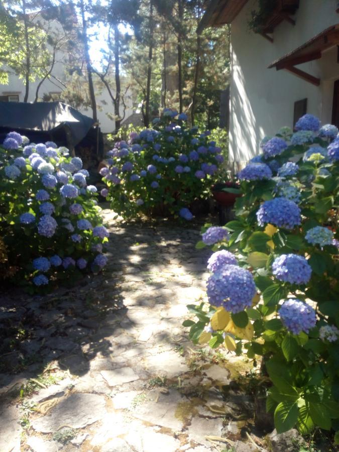 Al Castagno Bed & Breakfast Вико Екуензе Екстериор снимка