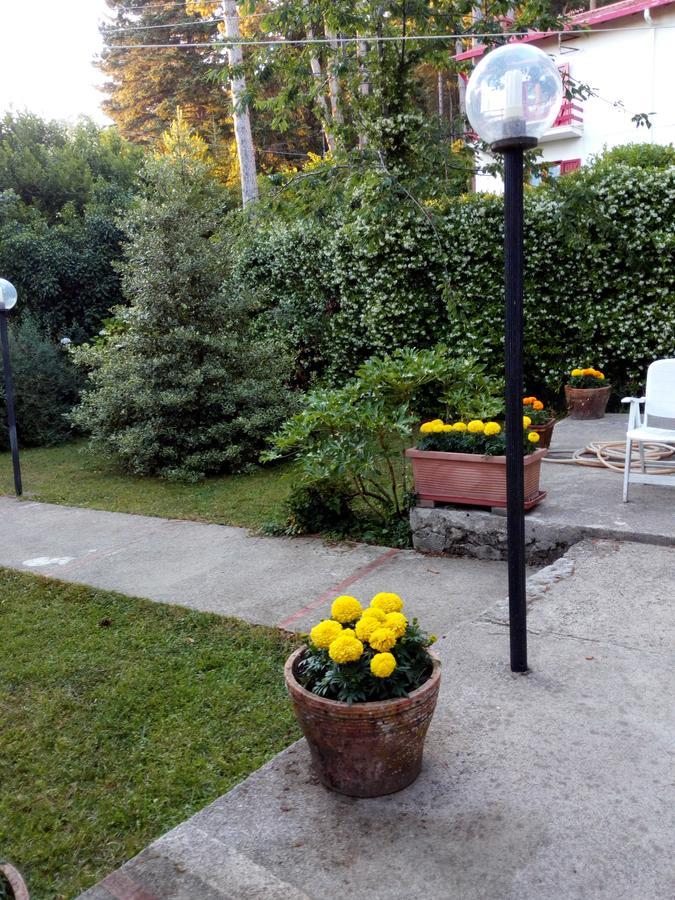 Al Castagno Bed & Breakfast Вико Екуензе Екстериор снимка